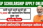 NSP Scholarship Apply Online